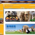上野動物園の料金を割引できる方法一覧 Jafのクーポンや無料開放日についても 上野動物園の料金を割引できる方法一覧 Jafのクーポンや無料開放日についても
